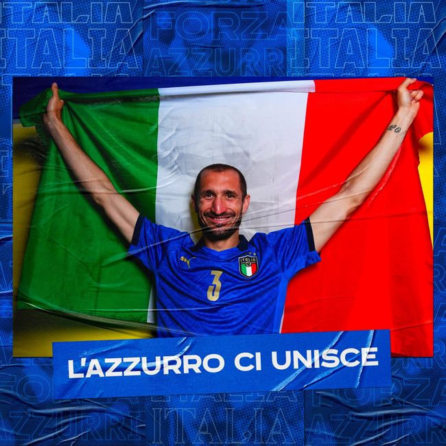 直通法网正 直通法网正