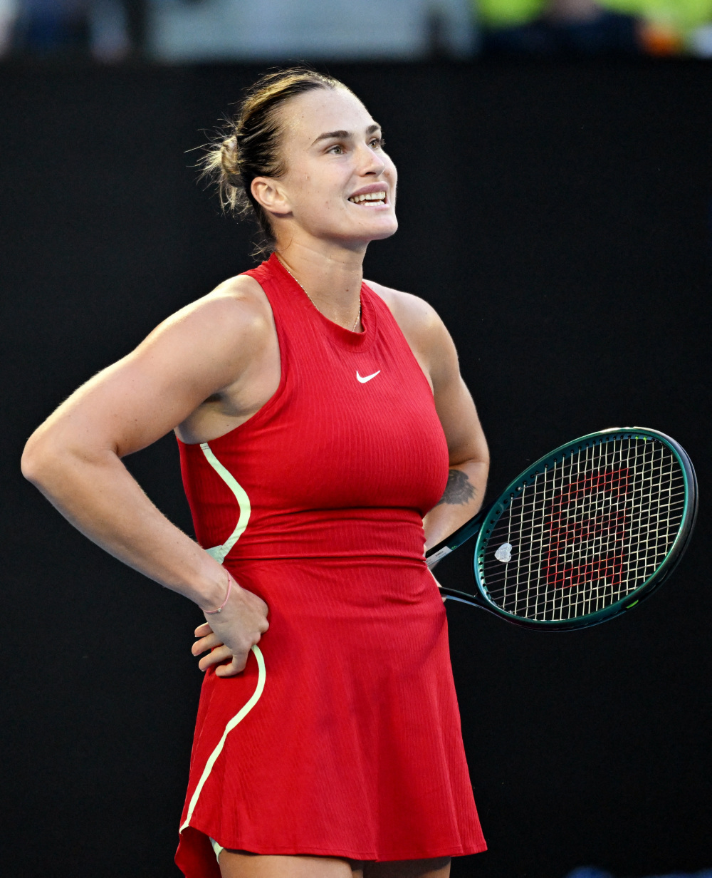 灰熊与小牛 灰熊与小牛